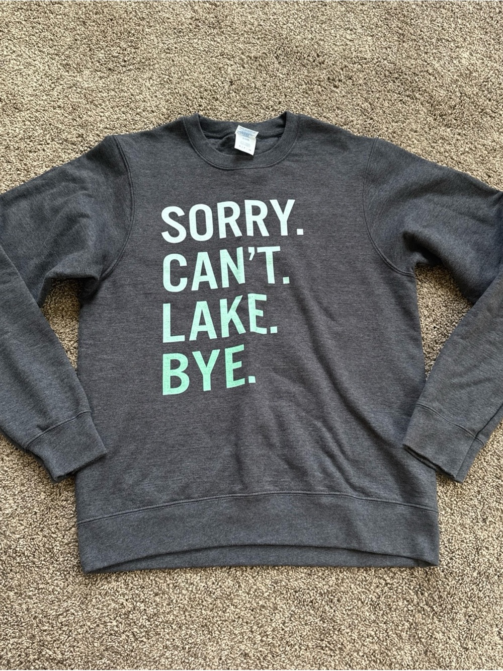 Women’s Small Charcoal Gray Graphic Sweatshirt - 'SORRY. CAN'T. LAKE. BYE.' EUC